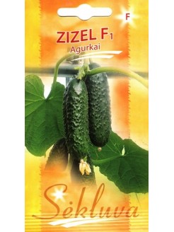 Cornichon 'Zizel' H, 20 semences