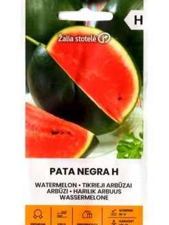 Arbūzs 'Pata Negra' H, 5 sēklas