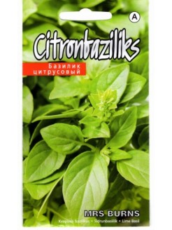 Citronbaziliks 'Minette' 0,3 g