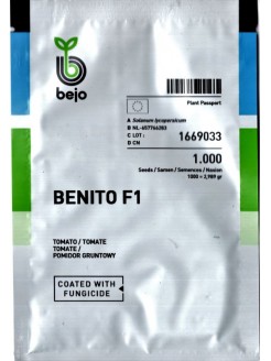 Tomate 'Benito' H, 1000 graines