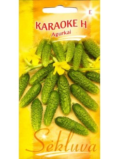 Cetriolo 'Karaoke' H, 30 semi