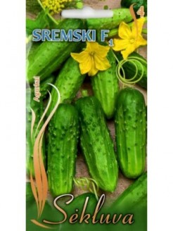 Cornichon'Sremski' H