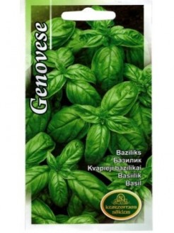 Bazilikai kvapieji 'Genovese' 1 g