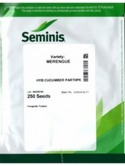 Einlegegurke 'Merengue' H, 250 Samen