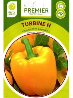 Paprika 'Turbine' H