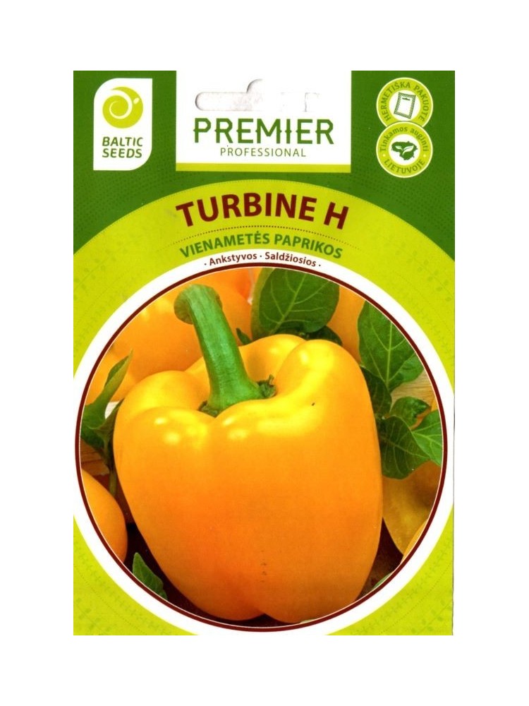 Paprika 'Turbine' H