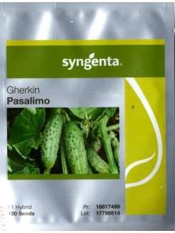 Cucumber 'Pasalimo' H, 100 seeds