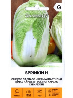 Cavoli cinesi 'Sprinkin' H, 0,1 g