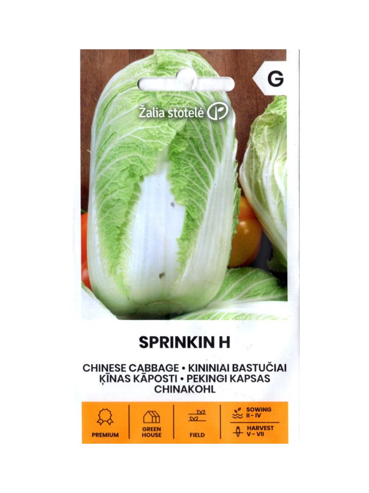 Napa cabbage 'Sprinkin' H, 0,1 g