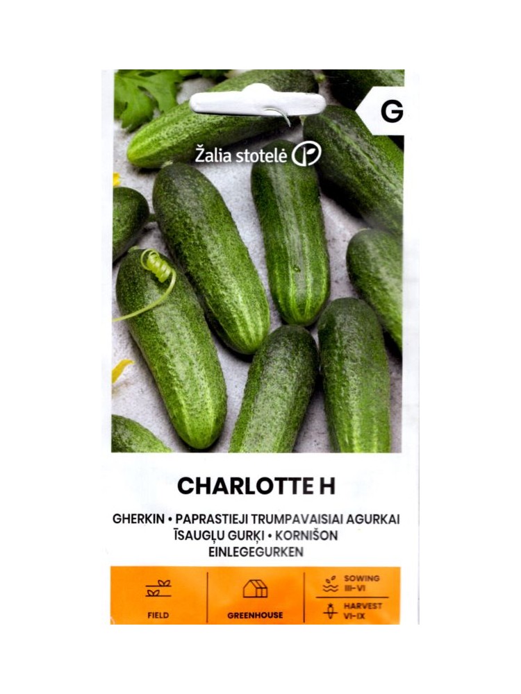 Cornichon 'Charlotte' H, 1,5 g