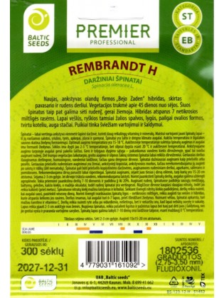 Spinach 'Rembrandt' H, 300 seeds