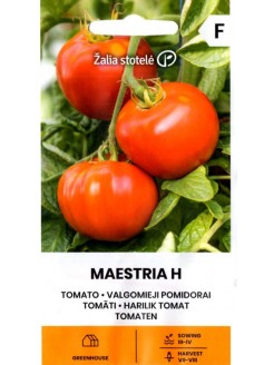 Tomato 'Maestria' H, 10 seeds