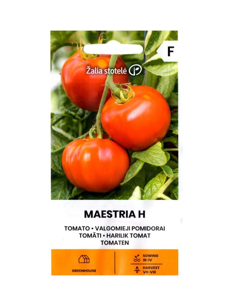 Tomate 'Maestria' H, 10 graines