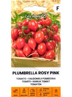 Tomat 'Plumbrella Rosy Pink' 5 seemned