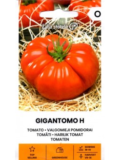 Pomodoro 'Gigantomo' H, 10 semi