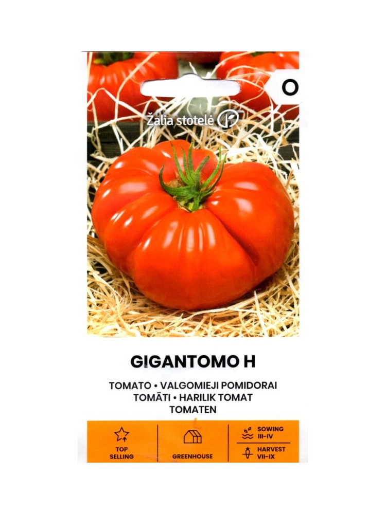 Pomodoro 'Gigantomo' H, 10 semi