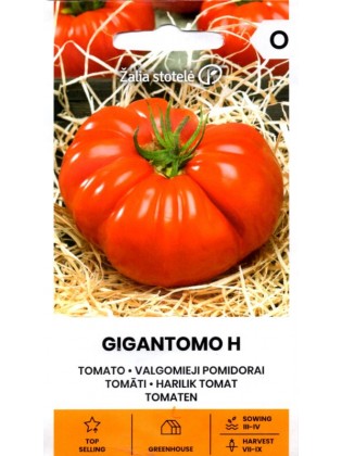 Pomodoro 'Gigantomo' H, 10 semi