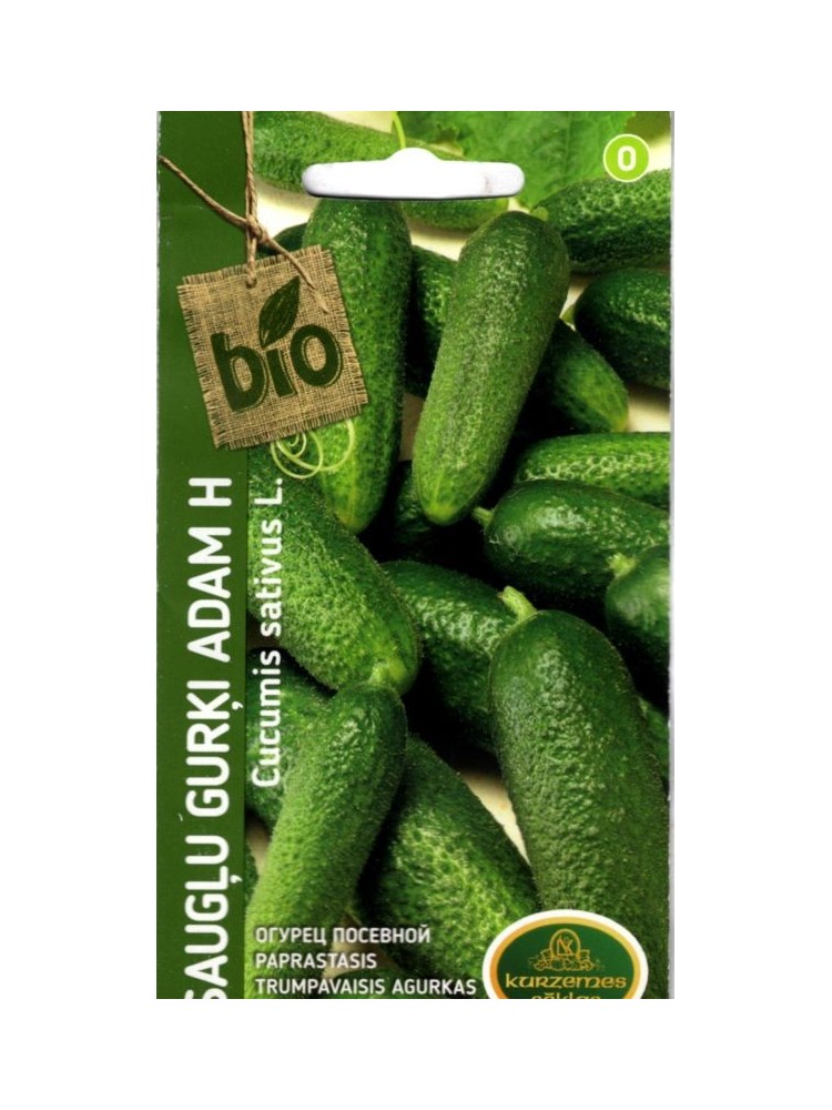 Gherkin 'Adam' H, 10 seeds