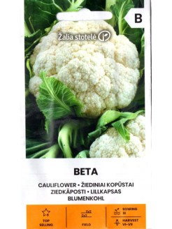 Blumenkohl 'Beta' 1 g