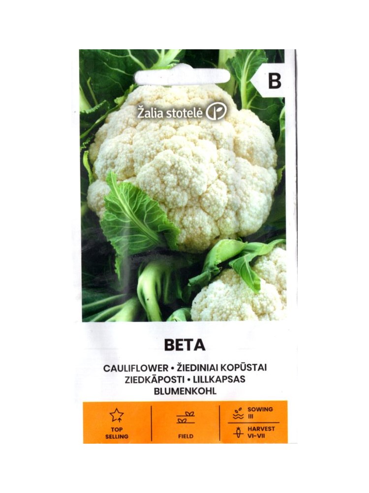 Cauliflower 'Beta' 1 g