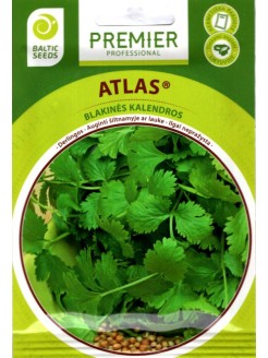 Coriander 'Atlas', 3 g