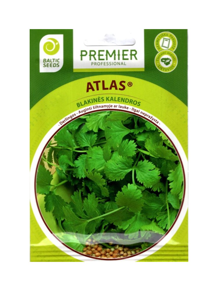 Coriander 'Atlas', 3 g