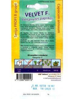 Peperone 'Velvet' H, 10 semi