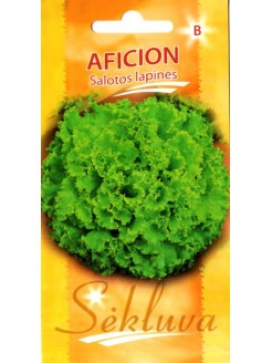 Gartensalat 'Aficion' 0,2 g