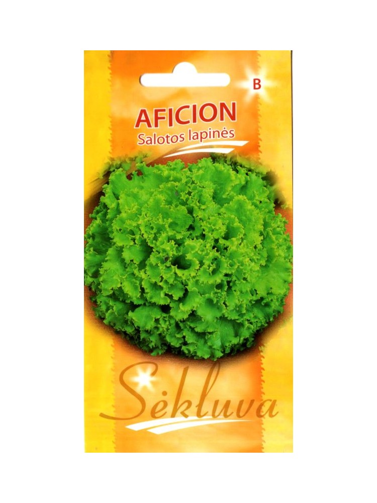 Gartensalat 'Aficion' 0,2 g