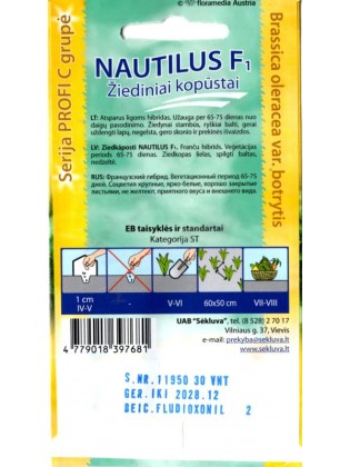 Kopūstai žiediniai 'Nautilus' H