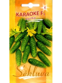 Cetriolo 'Karaoke' H, 20 semi