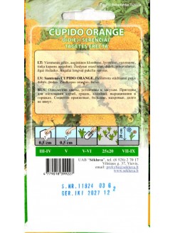 Aufrechte Studentenblume 'Cupido Orange' 0,3 g