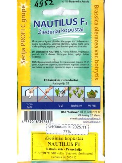 Chou-fleur 'Nautilus' H, 500 graines