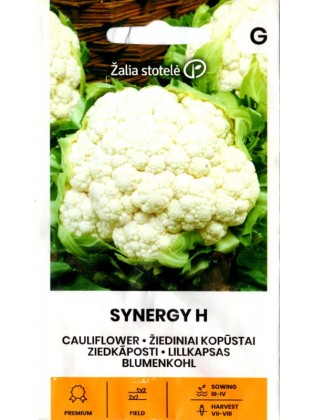 Cauliflower 'Synergy' H