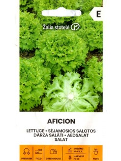 Gartensalat 'Aficion' 0,3 g