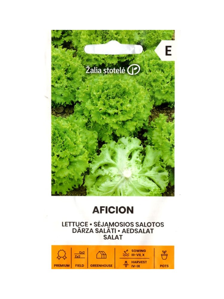 Laitue cultivée 'Aficion' 0,3 g