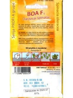 Épinard 'Boa' H, 5 g