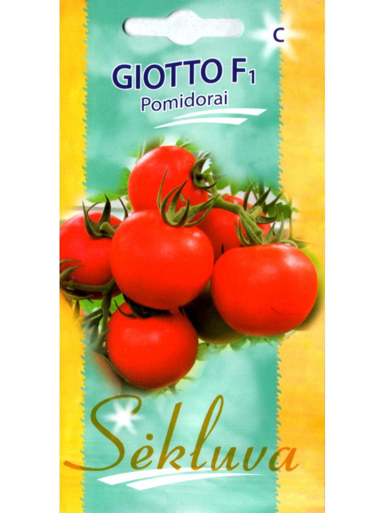 Tomate 'Giotto' F1, 10 Samen