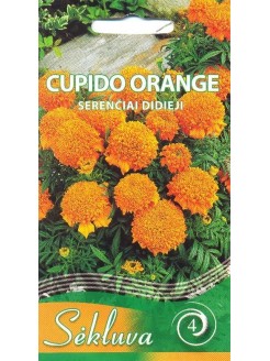 Бархатцы прямостоячие 'Cupido Orange' 0,3 г