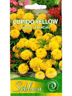 Бархатцы прямостоячие 'Cupido Yellow' 0,3 г