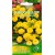 Aufrechte Studentenblume 'Cupido Yellow' 0,3 g