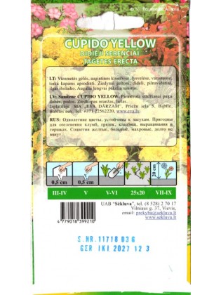 Puzzola 'Cupido Yellow' 0,3 g