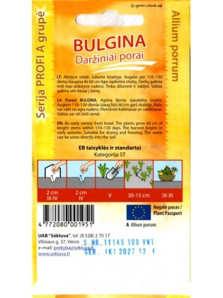 Porro 'Bulgina' 100 semi