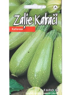 Zucchini 'Faro' H, 5 seeds