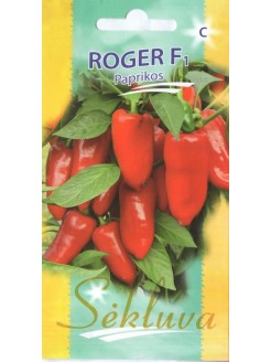 Paprika 'Roger' H