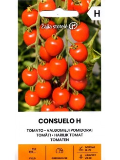 Pomodoro 'Consuelo' H, 10 semi