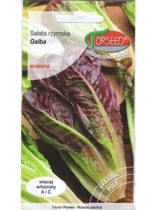 Römersalat 'Galba' 0,5 g