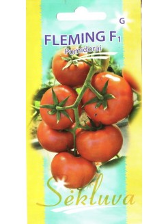 Tomate 'Fleming' H, 6 graines