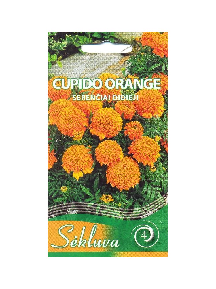 SE Serentis didysis 'Cupido Orange' 0,3 g